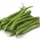 fagiolini.jpg