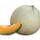 melone_liscio.jpg